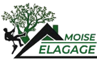 elagage-moise-elagage-45